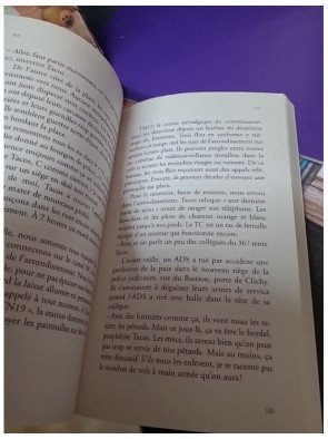 Flic - Un journaliste a infiltré la police