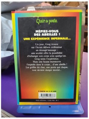 Chair de Poule - Tome 5 - Méfiez-vous des abeilles !