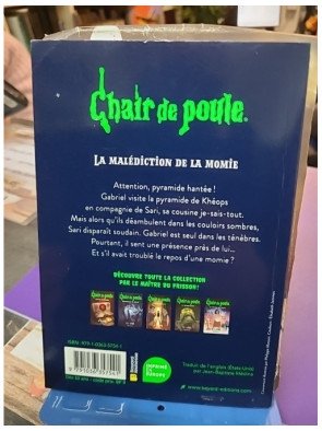 Chair de poule - Tome 01 : La malédiction de la momie