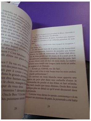 Chair de poule - Tome 01 : La malédiction de la momie