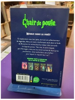 Chair de poule Tome 22 Menace dans la forêt - R.L Stine