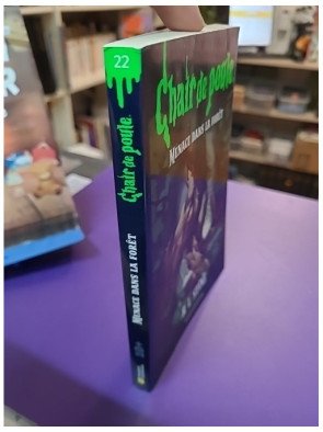 Chair de poule Tome 22 Menace dans la forêt - R.L Stine