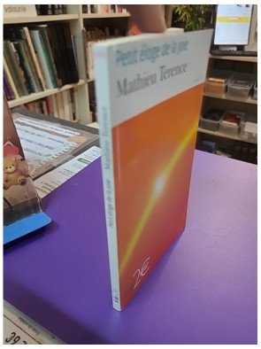 Petit éloge de la joie - Mathieu Terence