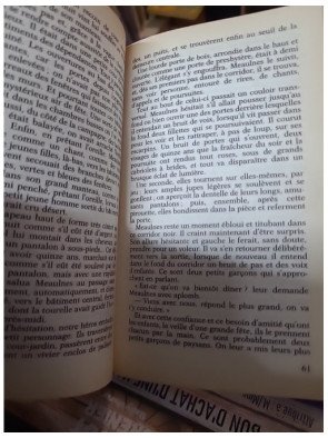 Le Grand Meaulnes - Alain Fournier