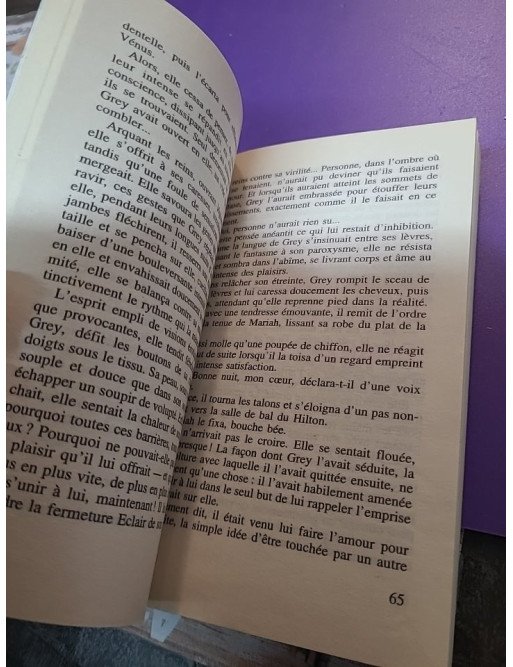 Chantage d'amour + Un homme sous contrat - Janelle Denison