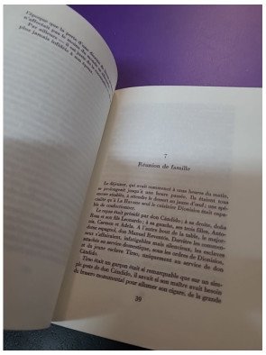 La Colline de l'ange - Reinaldo Arenas