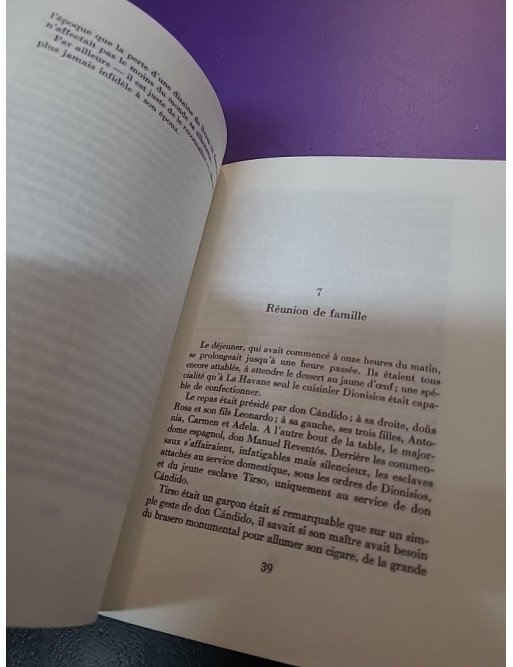 La Colline de l'ange - Reinaldo Arenas