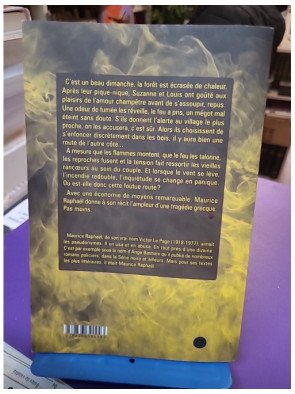 Feu et flammes Maurice Raphaël