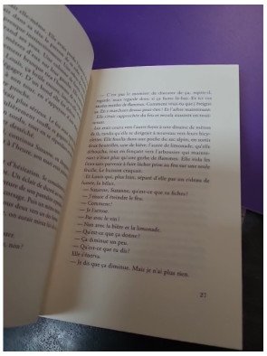 Feu et flammes Maurice Raphaël