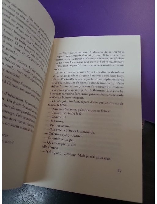 Feu et flammes Maurice Raphaël