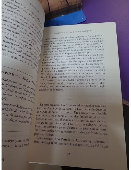 Hexagone Sur les routes de l'histoire de France Lorant Deutsch