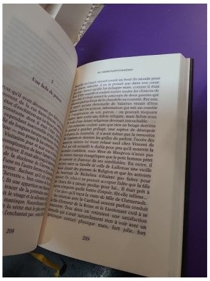 Secret d'État - Tome 2 - Le Roi des Halles de Juliette Benzoni