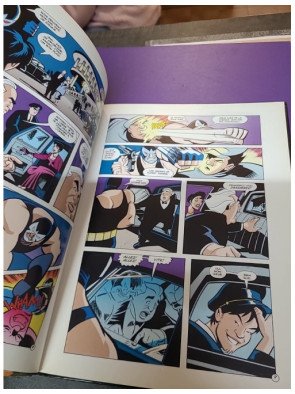 Batman, tome 13 : 13