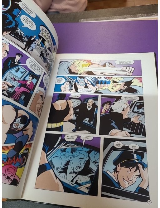 Batman, tome 13 : 13