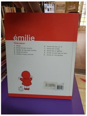 Emilie et l'oie perdue - Domitille de Pressensé