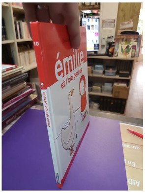 Emilie et l'oie perdue - Domitille de Pressensé