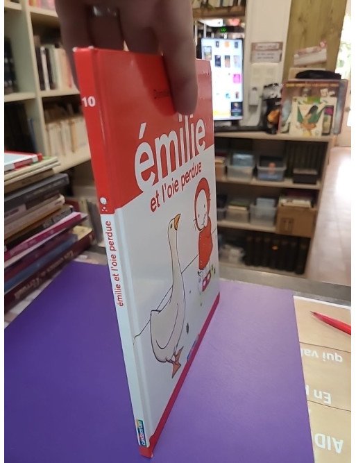 Emilie et l'oie perdue - Domitille de Pressensé