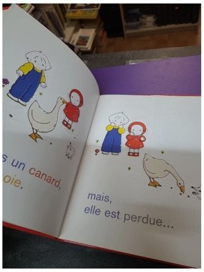 Emilie et l'oie perdue - Domitille de Pressensé