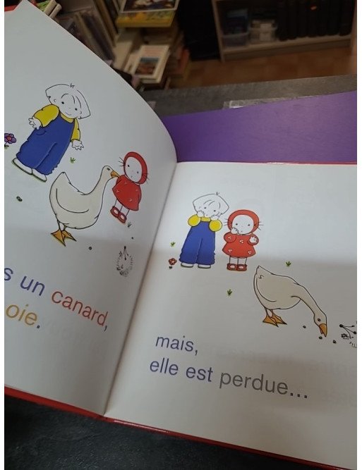 Emilie et l'oie perdue - Domitille de Pressensé