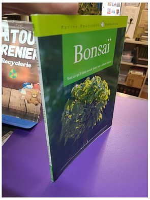 Bonsaï d'intérieur - Pour une culture réussie (Jochen Pfisterer)