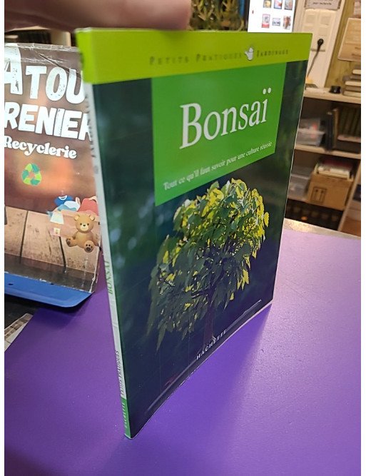 Bonsaï d'intérieur - Pour une culture réussie (Jochen Pfisterer)