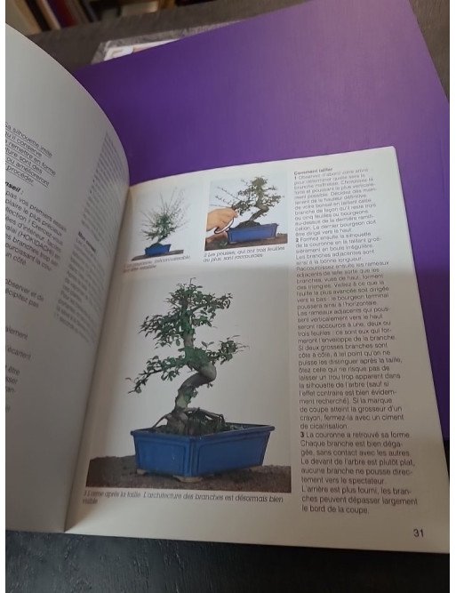 Bonsaï d'intérieur - Pour une culture réussie (Jochen Pfisterer)