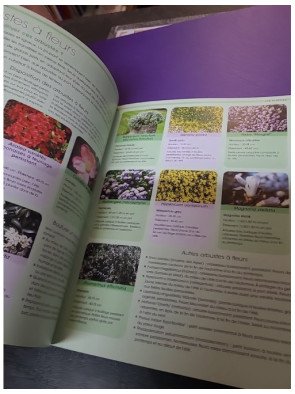 Jardin en pots (David Squire)