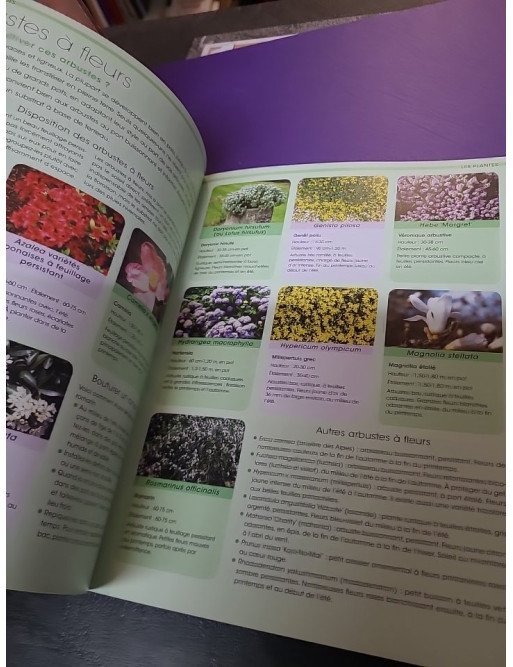 Jardin en pots (David Squire)