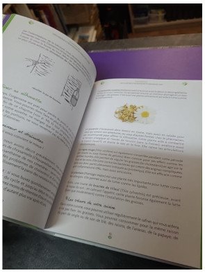 Ma santé au naturel toute l'année — Conseils d'un médecin pour toute la famille