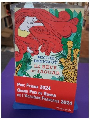 Le rêve du jaguar