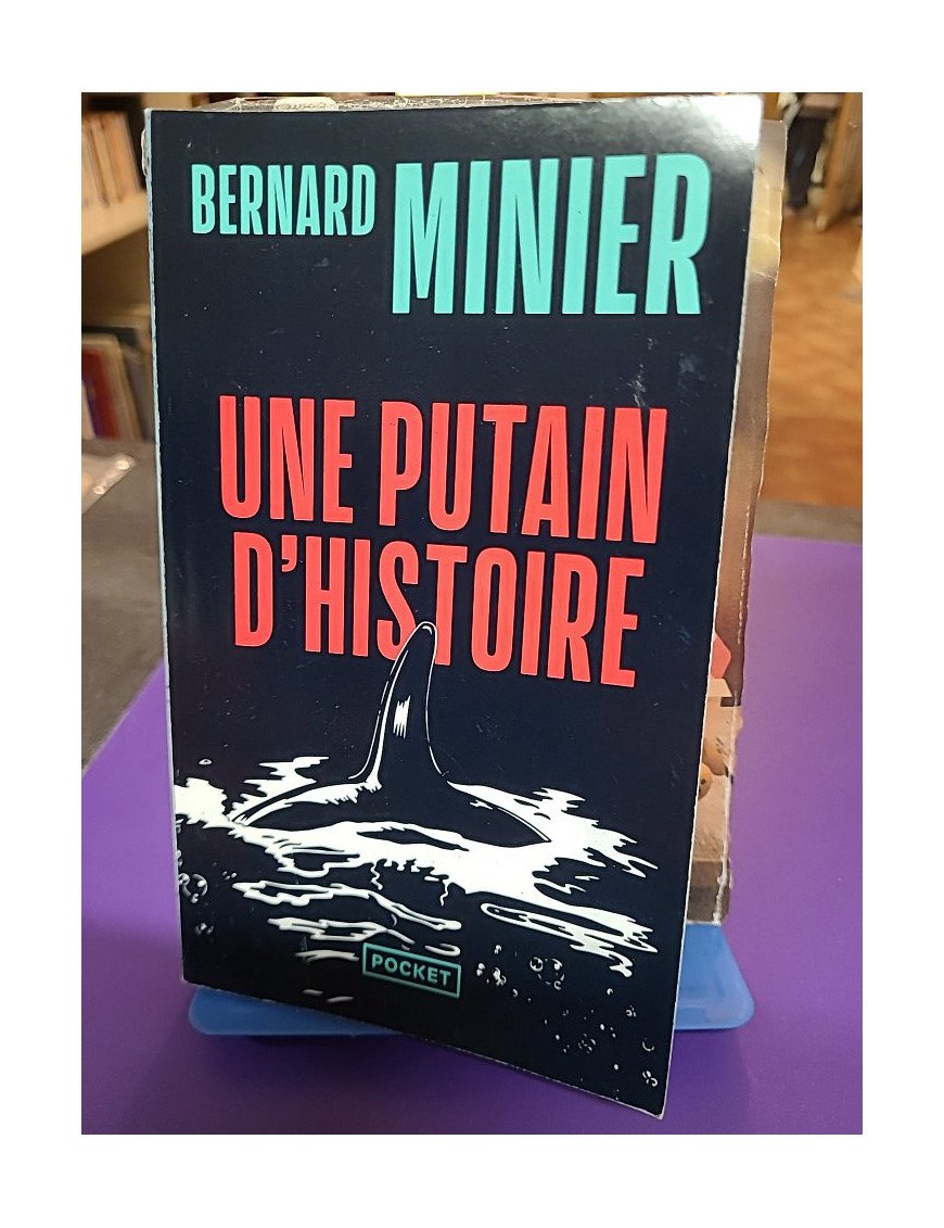 Une putain d'histoire - Bernard Minier