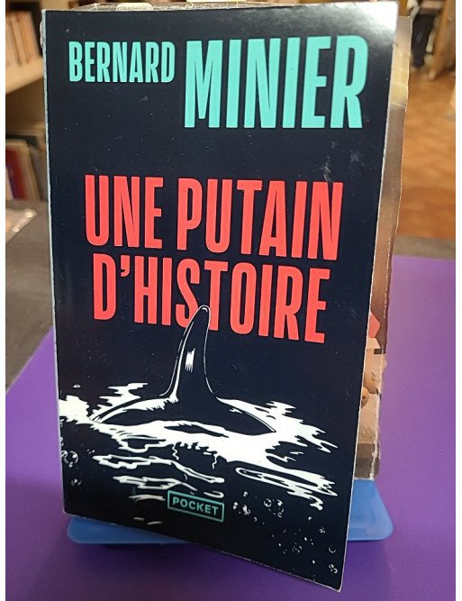 Une putain d'histoire - Bernard Minier