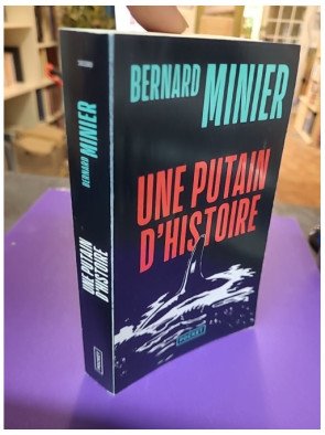 Une putain d'histoire - Bernard Minier