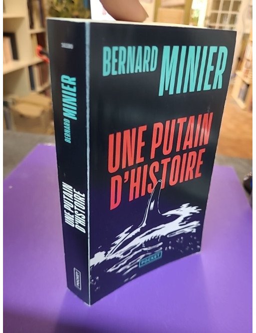 Une putain d'histoire - Bernard Minier