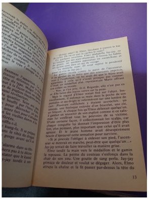 Le Prince de Central Park