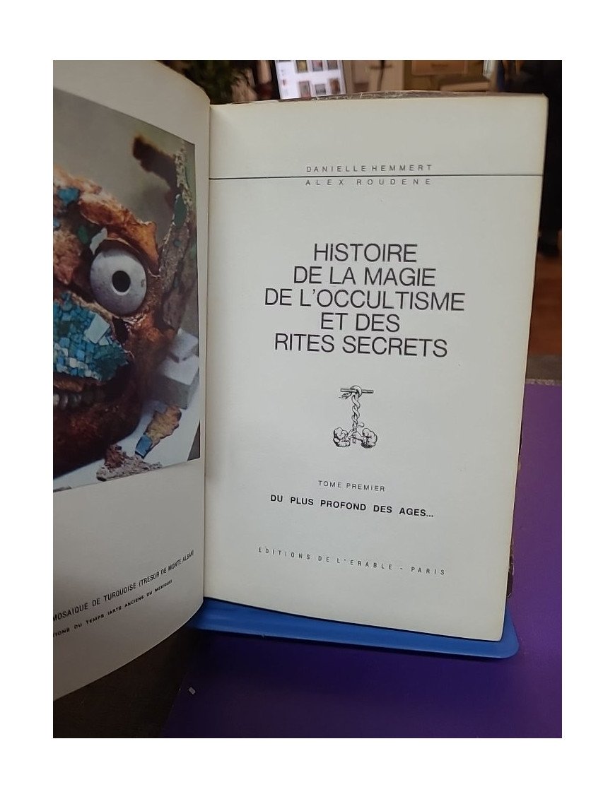 Histoire de la magie et de l'occultisme (Tome I : Du plus profond des âges)
