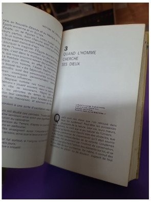 Histoire de la magie et de l'occultisme (Tome I : Du plus profond des âges)