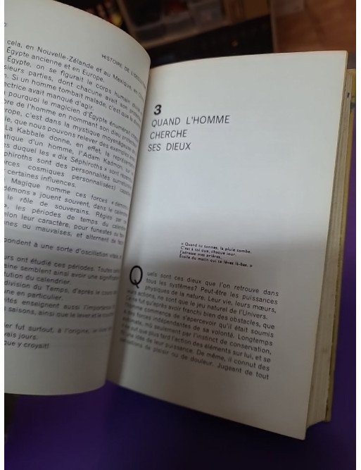 Histoire de la magie et de l'occultisme (Tome I : Du plus profond des âges)