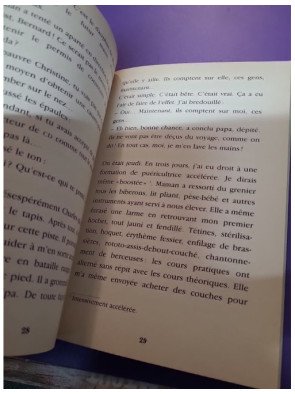 Baby-sitter l'horreur (édition relookée 2001)