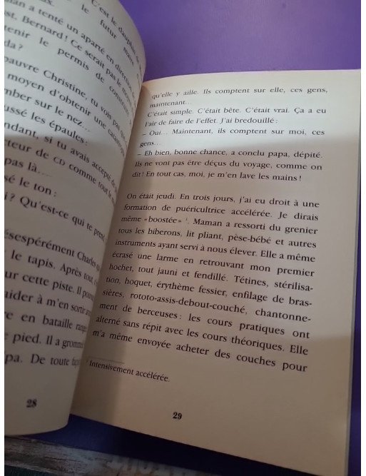 Baby-sitter l'horreur (édition relookée 2001)