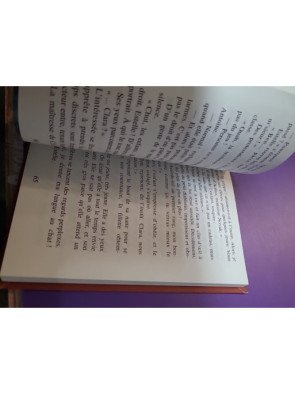 L'instit - Demain, dès l'aube