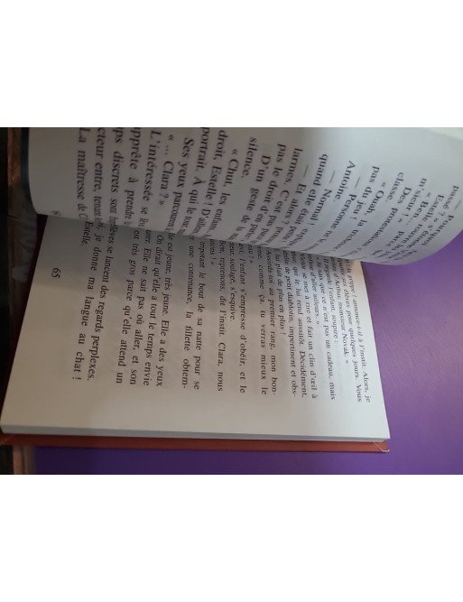 L'instit - Demain, dès l'aube