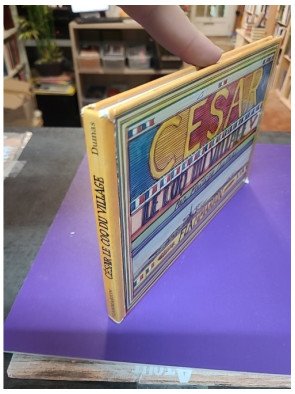 César, le coq du village