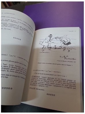 Mots de Gap - Les régionalismes du français parlé dans le Gapençais