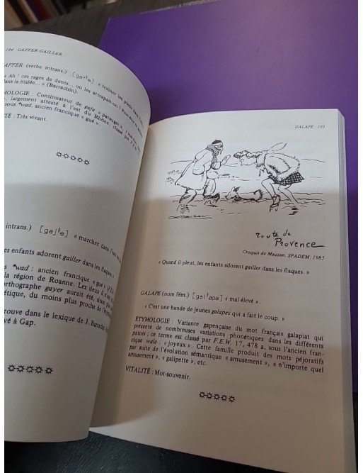Mots de Gap - Les régionalismes du français parlé dans le Gapençais