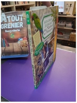 Mon carnet de balade au Safari de Peaugres