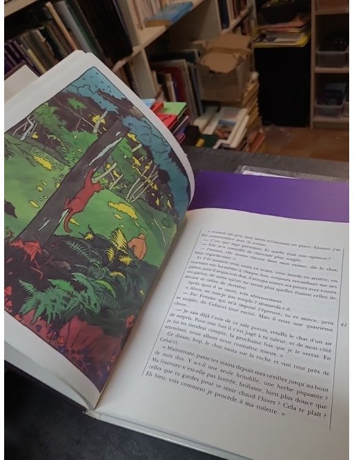 Histoires comme chat — Cendra Vernaz