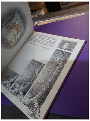 Les Deux maisons de Désiré Raton