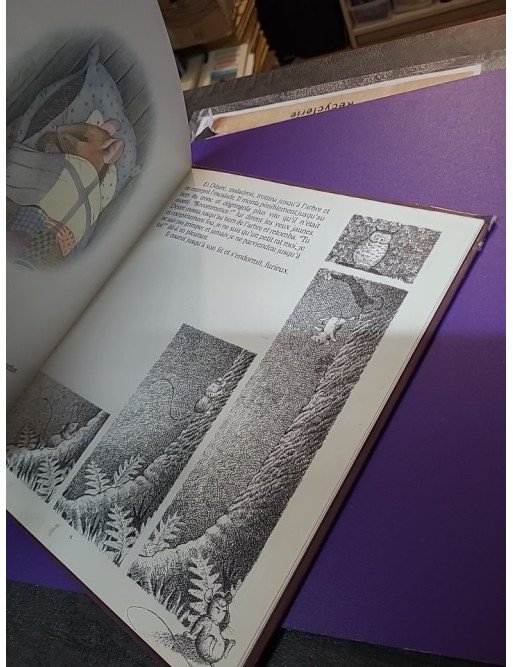 Les Deux maisons de Désiré Raton