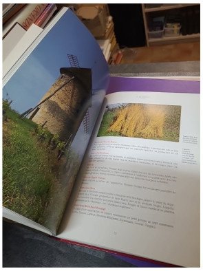 Le Vin À La Maison — Louis Plessis